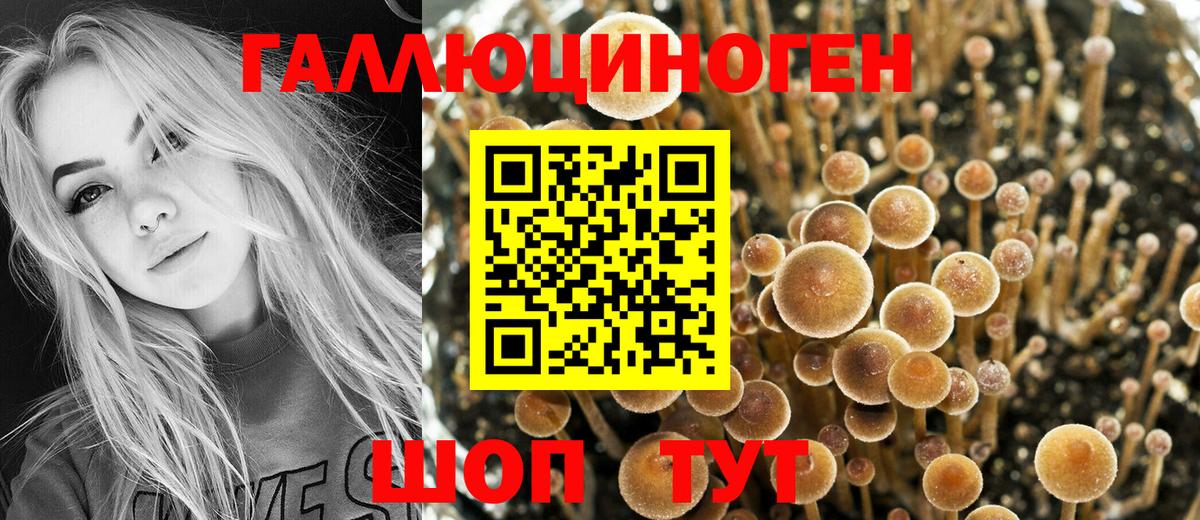 Псилоцибиновые грибы мицелий Дзержинск