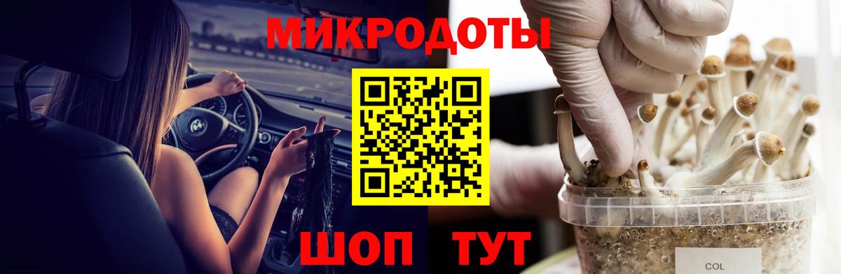 Дзержинск  что такое наркотик  Вход с VPN  Галлюциногенные грибы Psilocybine cubensis 
